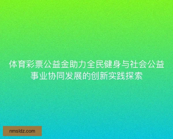 体育彩票公益金助力全民健身与社会公益事业协同发展的创新实践探索